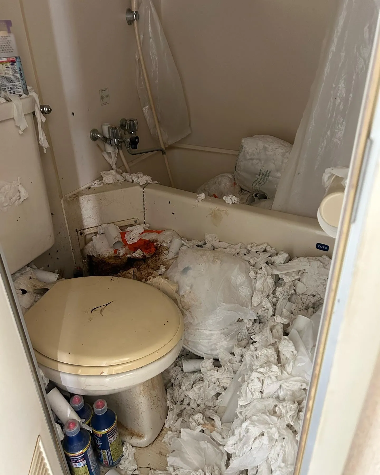 札幌遺品整理と特殊清掃 女性